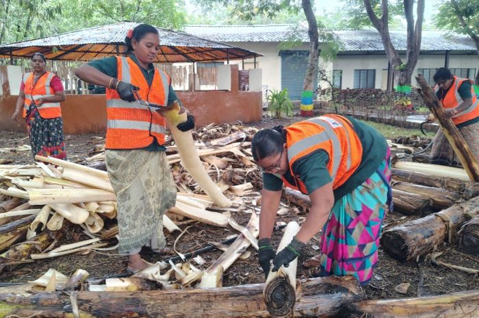 UltraTech’s Project Uday Converts Banana Waste into Livelihood Opportunities in Andhra Pradesh